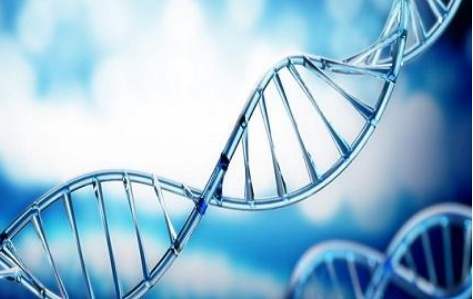 百傲2019再獲三證,進(jìn)入DNA免提時代